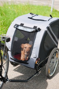 Fahrradanhänger Hundeanhänger Radanhänger Gepäckwagen Tiere Fahrrad Jogger DHL 
